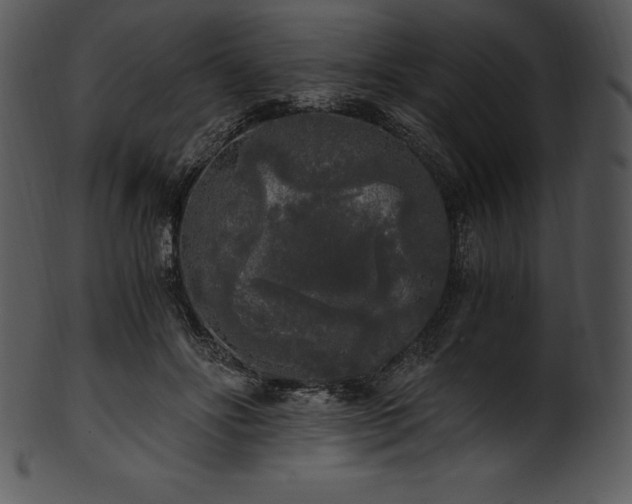 X0000101460502200807141310