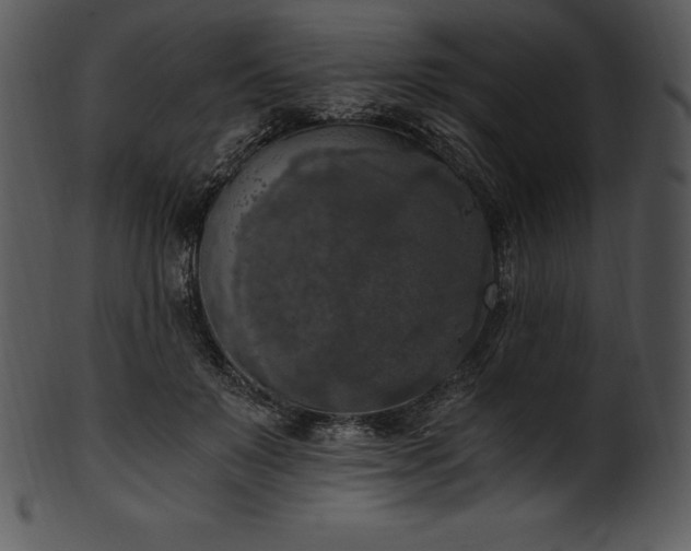 X0000101460503200807141310