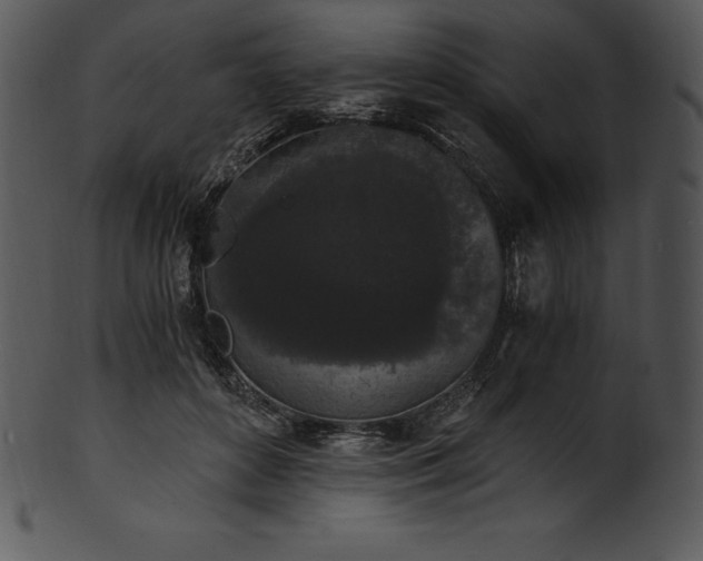 X0000101460504200807141310