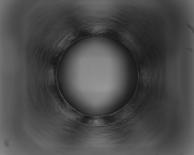 X0000101460506200807141310