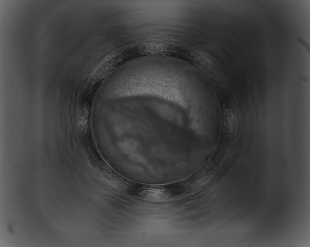 X0000101460507200807141310