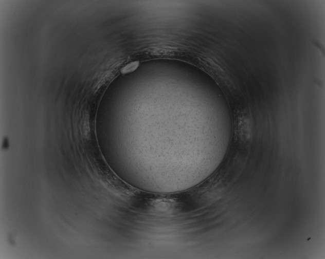 X0000101460508200807141310