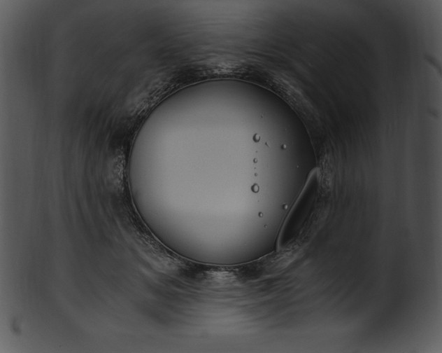 X0000101460509200807141310