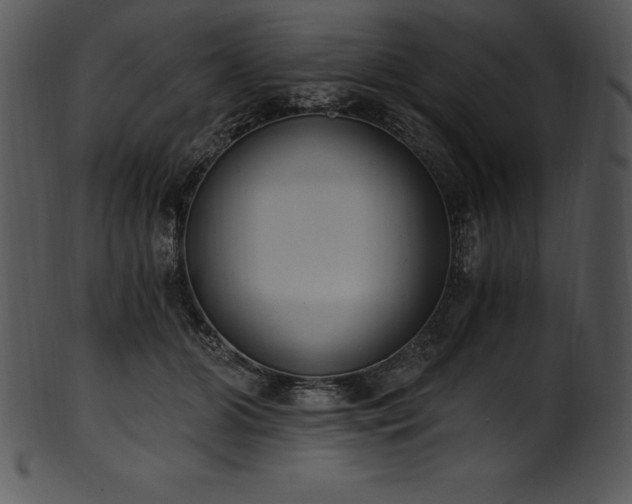 X0000101460510200807141310