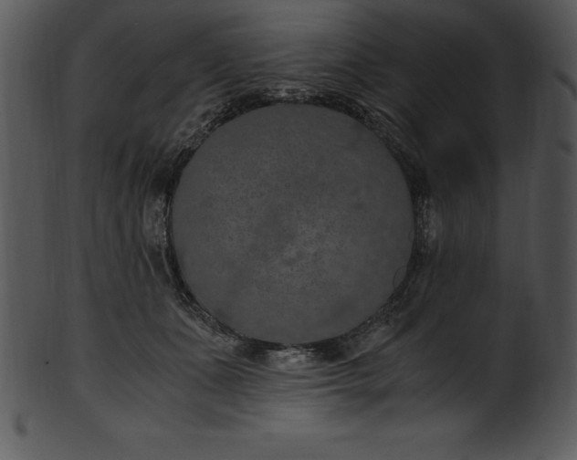 X0000101460511200807141310