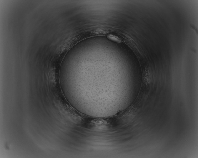 X0000101460512200807141310