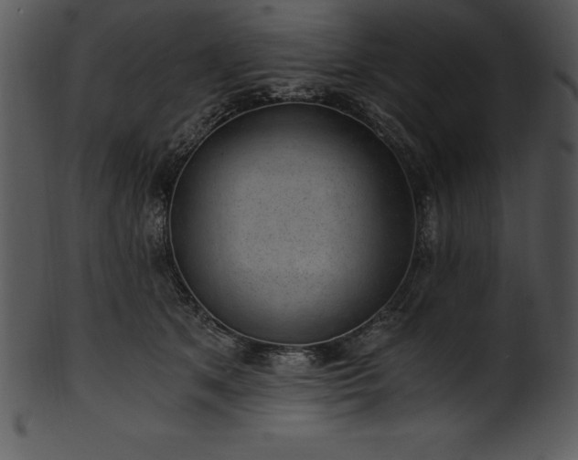 X0000101460513200807141310