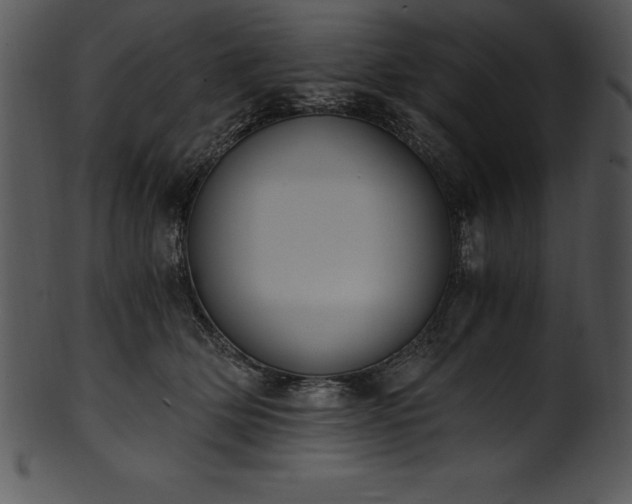 X0000101460514200807141310