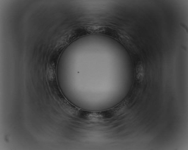 X0000101460515200807141310