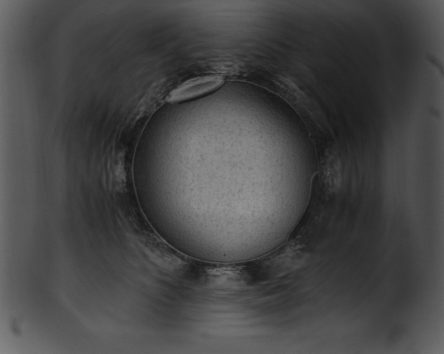 X0000101460516200807141310