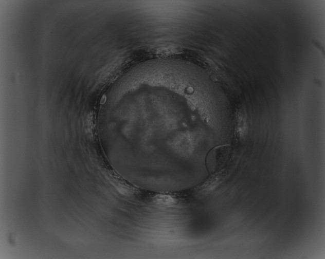 X0000101460519200807141310