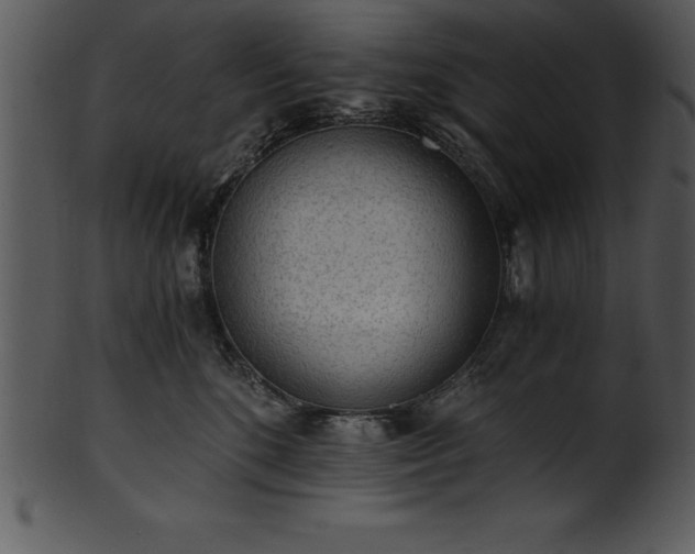 X0000101460520200807141310