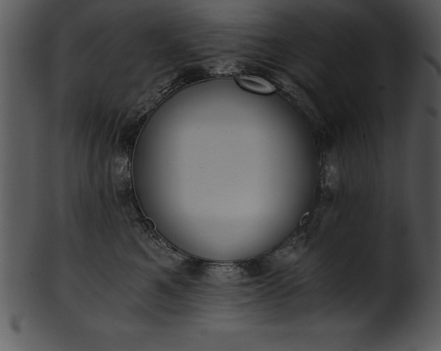 X0000101460521200807141309