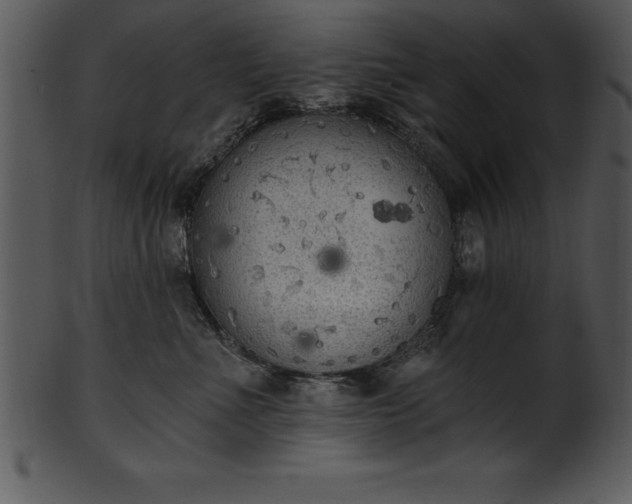 X0000101460523200807141309