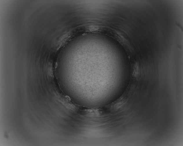 X0000101460524200807141309