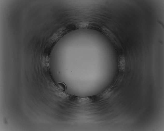 X0000101460525200807141309