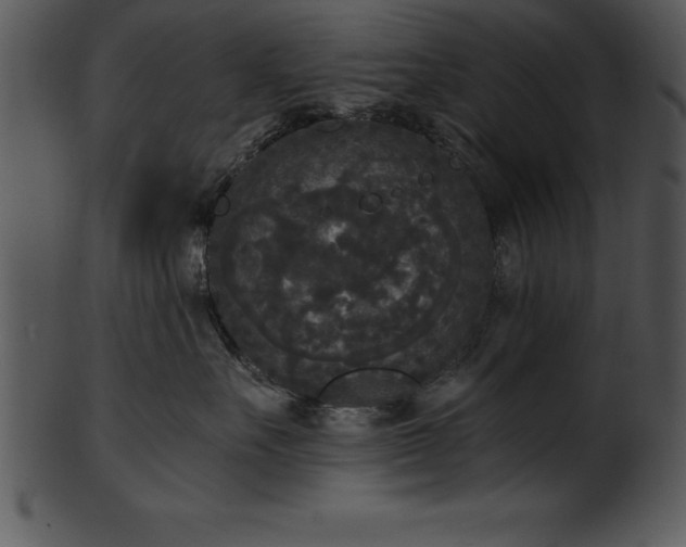 X0000101460527200807141309