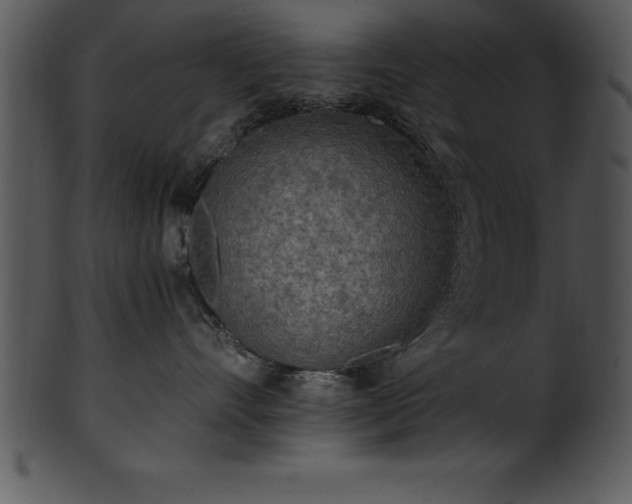 X0000101460528200807141309