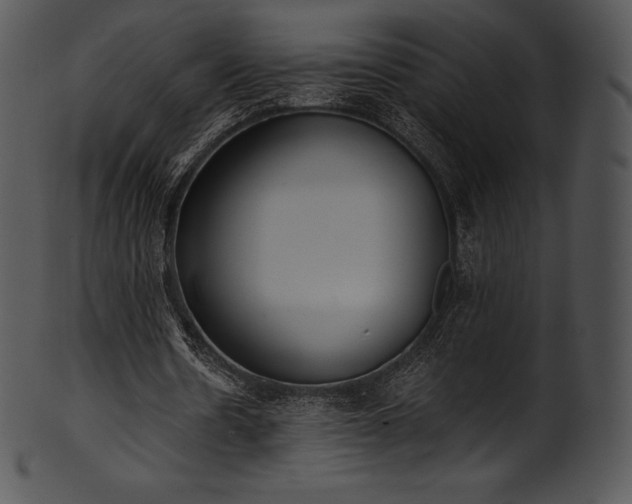 X0000101460530200807141309
