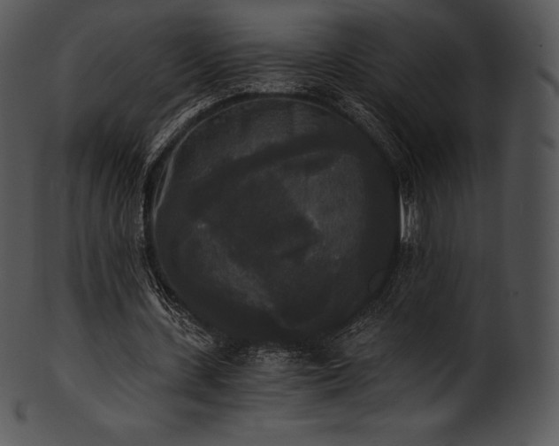 X0000101460531200807141309