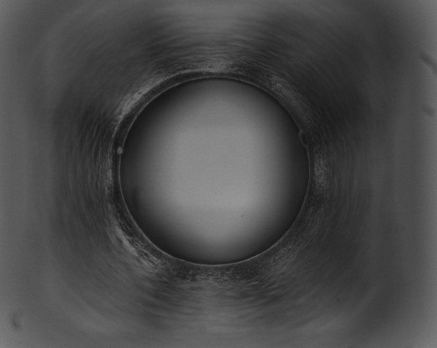 X0000101460532200807141309