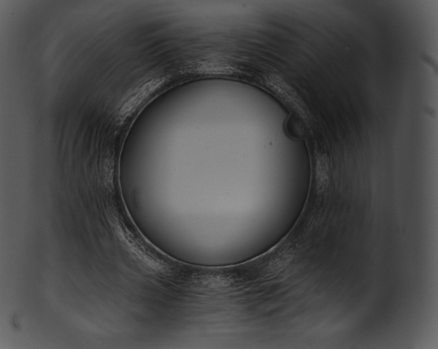 X0000101460533200807141309