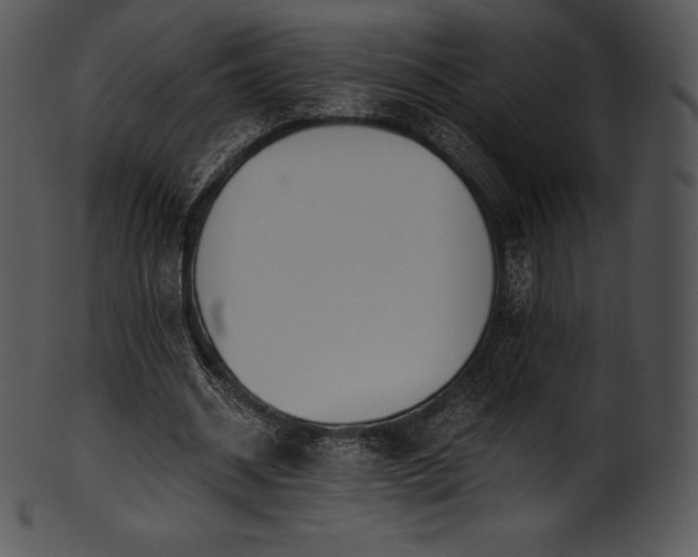 X0000101460534200807141309