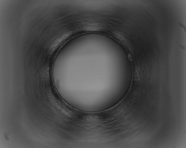 X0000101460535200807141309