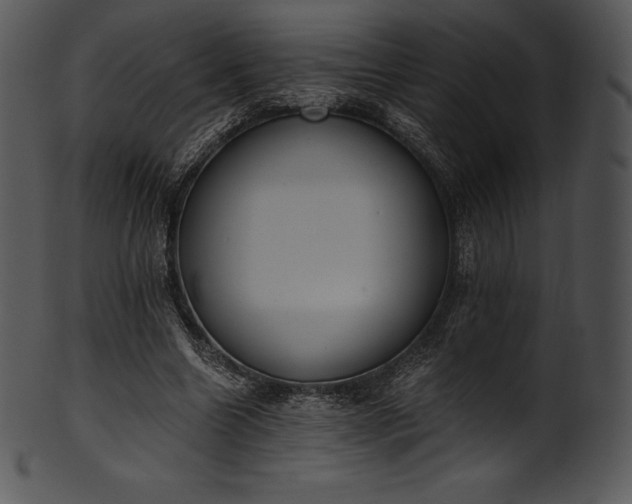 X0000101460538200807141309