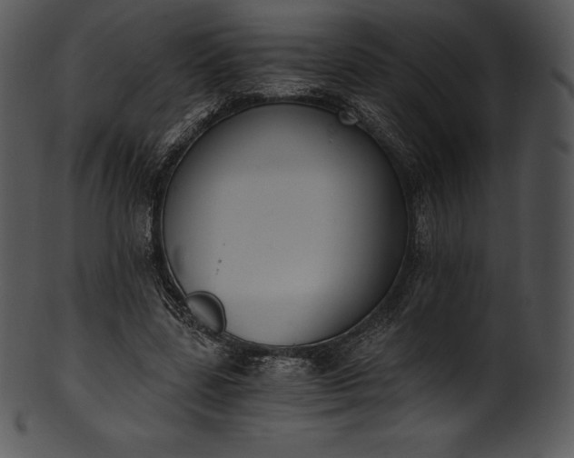 X0000101460539200807141309