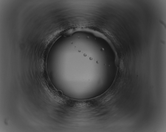 X0000101460540200807141309