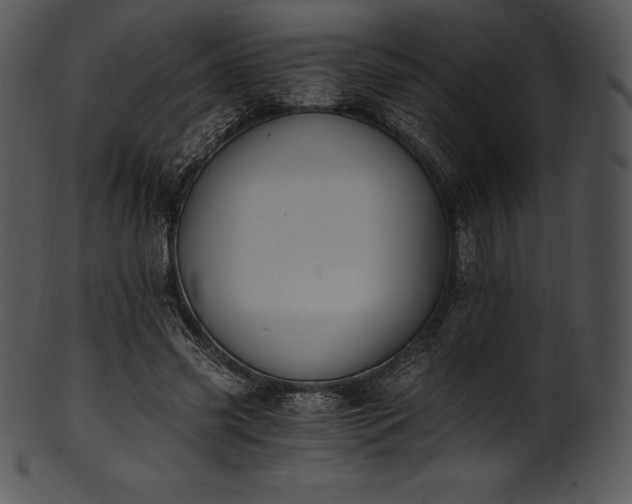 X0000101460541200807141309