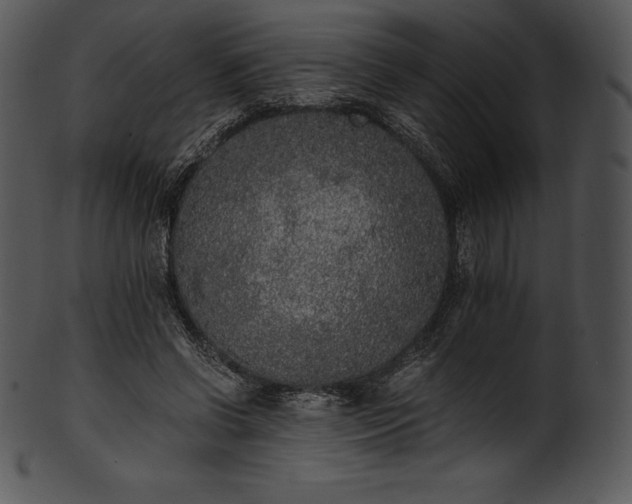 X0000101460542200807141309