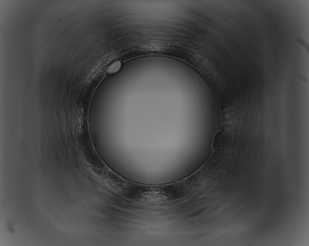 X0000101460544200807141309