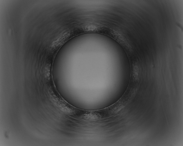 X0000101460545200807141309