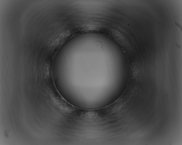 X0000101460546200807141309