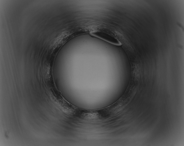 X0000101460548200807141309