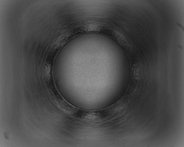X0000101460550200807141309