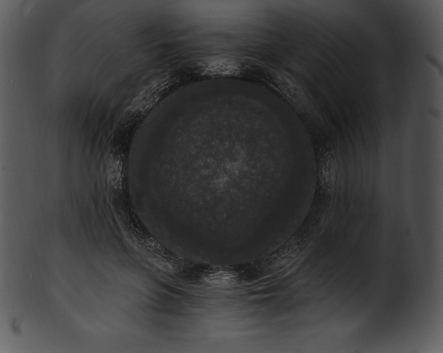 X0000101460551200807141309