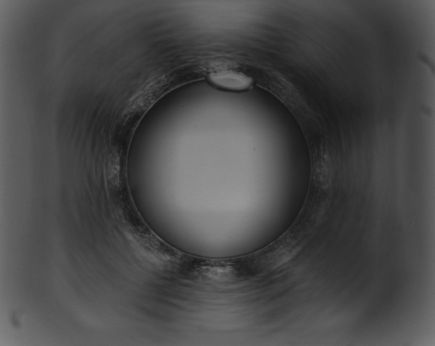 X0000101460552200807141309