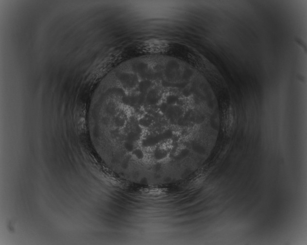 X0000101460553200807141309