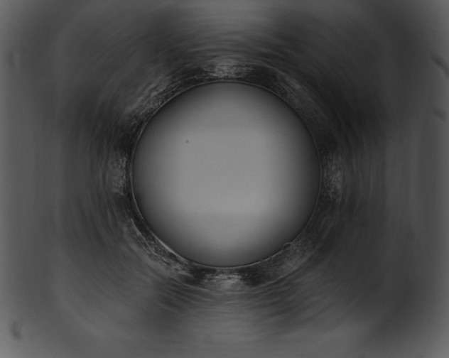 X0000101460554200807141309