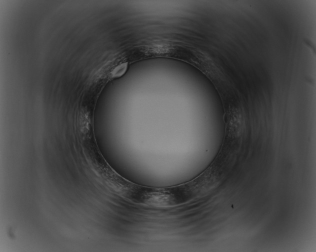 X0000101460555200807141309