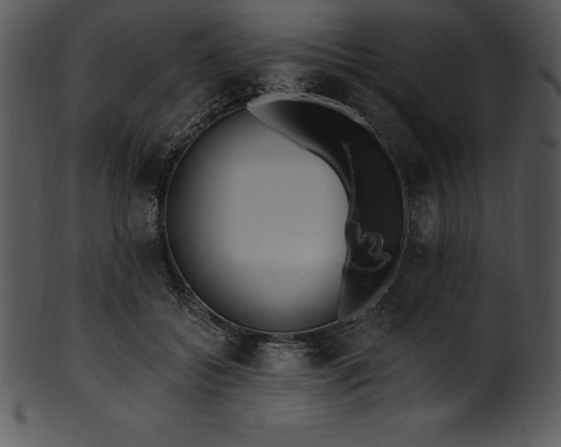 X0000101460556200807141309