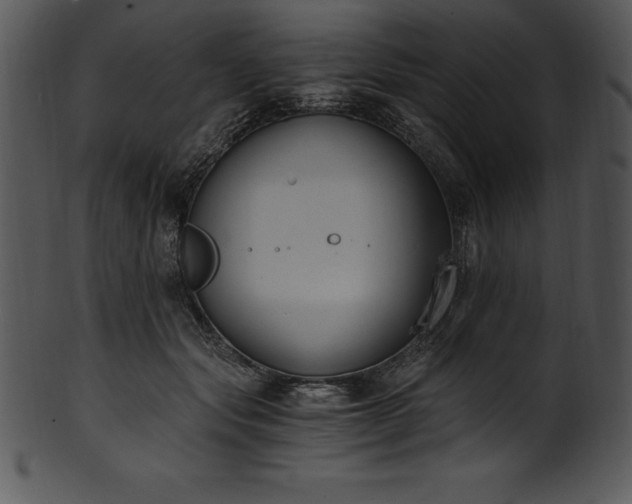 X0000101460557200807141309