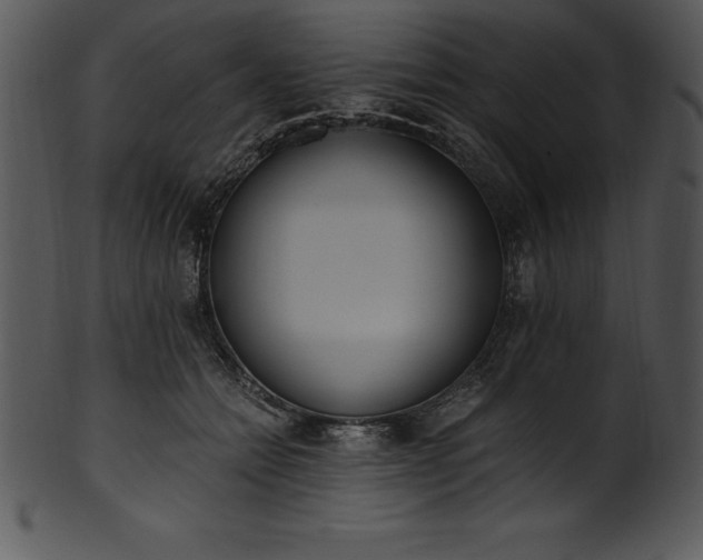 X0000101460558200807141309