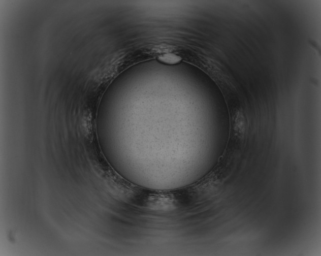X0000101460559200807141309