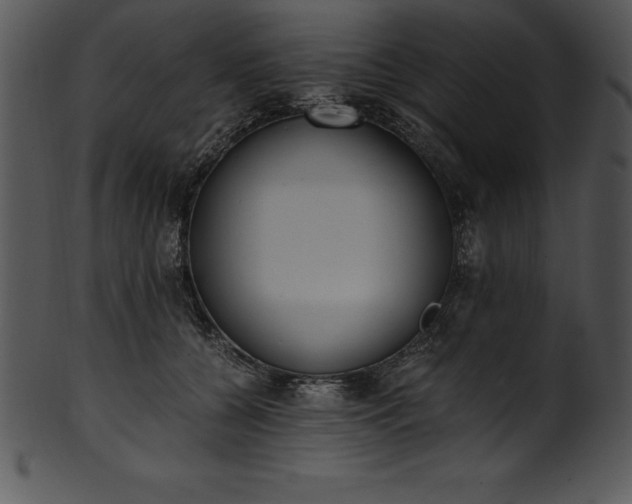 X0000101460560200807141309
