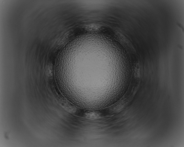 X0000101460561200807141309