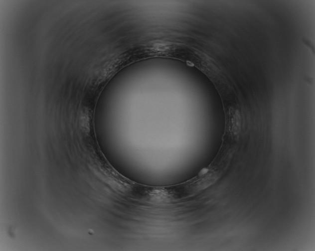 X0000101460562200807141309